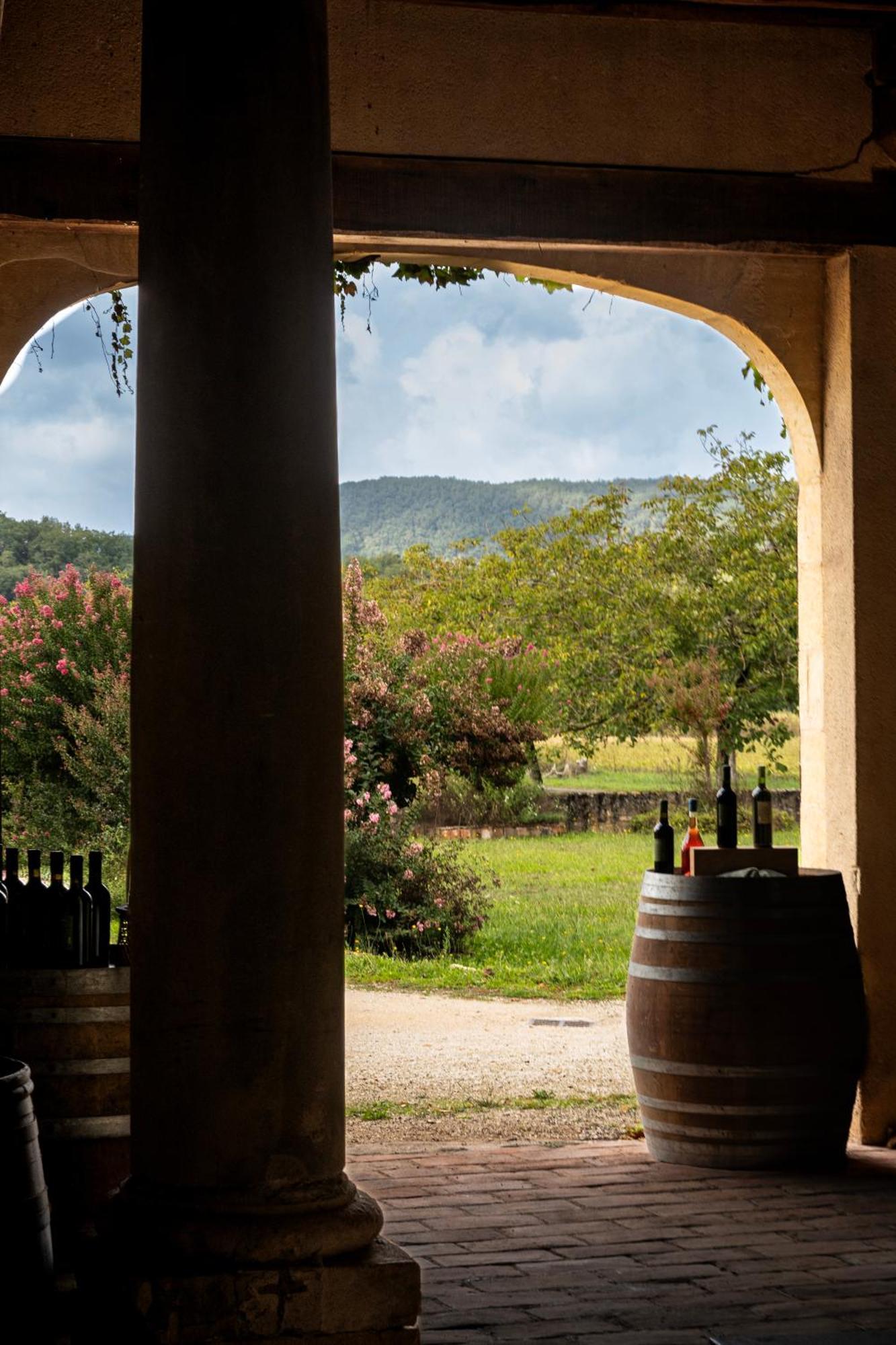 Chateau La Gineste - Castle And Vineyard Duravel エクステリア 写真